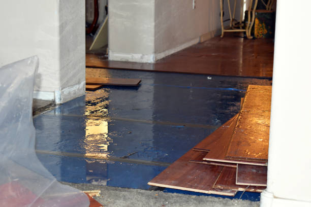 Professional Flood Cleanup technician working in Oregon, IL